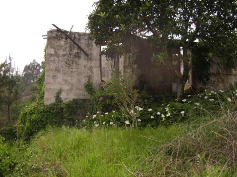 Quinta  Póvoa de Lanhoso, Travassos - 66016 - 11