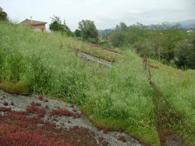 Quinta  Póvoa de Lanhoso, Travassos - 66016 - 14