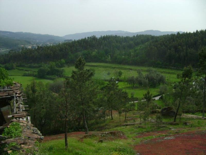 Quinta  Póvoa de Lanhoso, Travassos - 66016 - 15