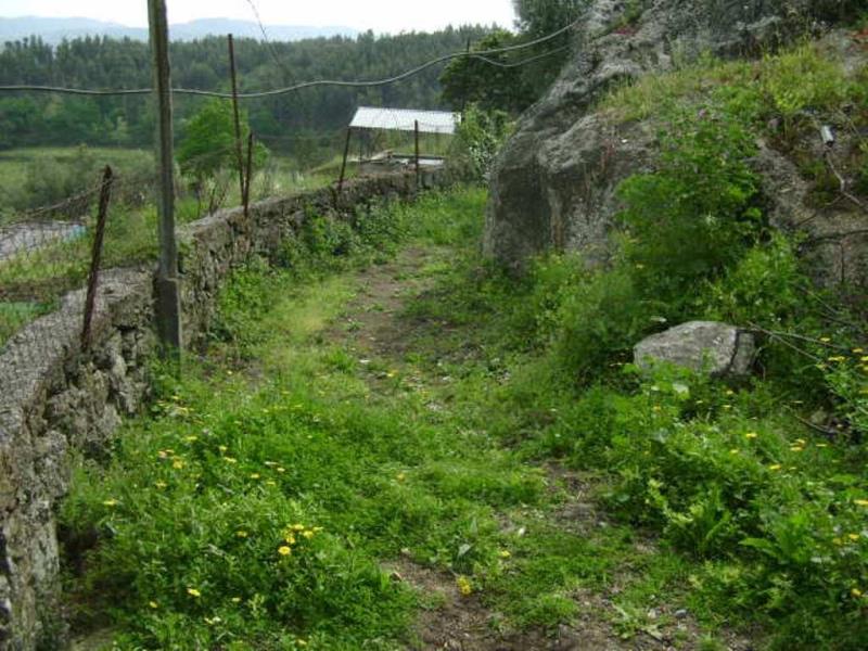 Quinta  Póvoa de Lanhoso, Travassos - 66016 - 21