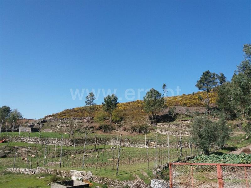 Moradia  Póvoa de Lanhoso, Travassos - 802024 - 10