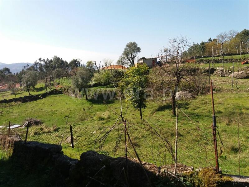 Moradia  Póvoa de Lanhoso, Travassos - 802024 - 9