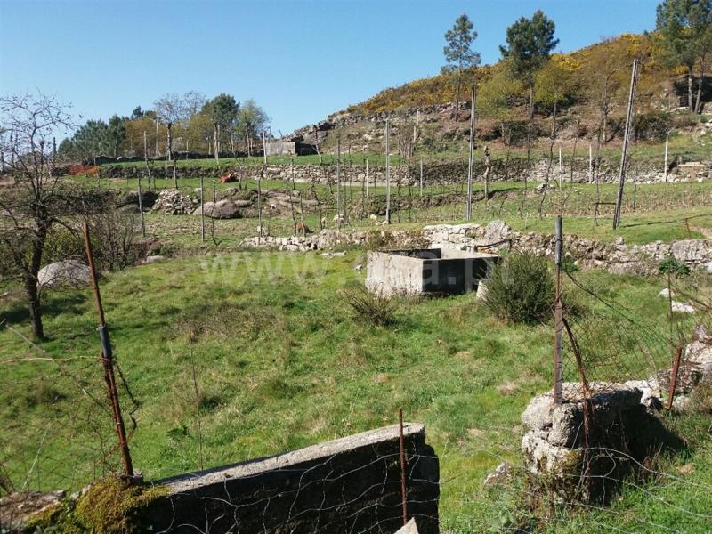 Moradia  Póvoa de Lanhoso, Travassos - 802024 - 8