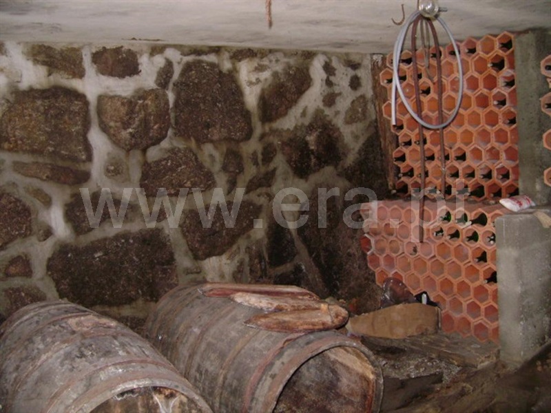 Quinta  Póvoa de Lanhoso, Vilela - 64861 - 6