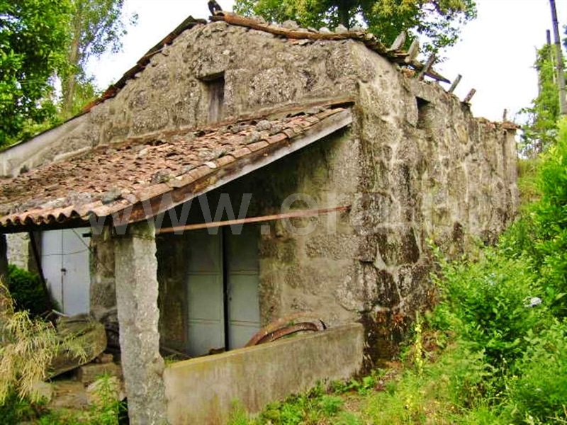 Quinta  Póvoa de Lanhoso, Vilela - 64861 - 8