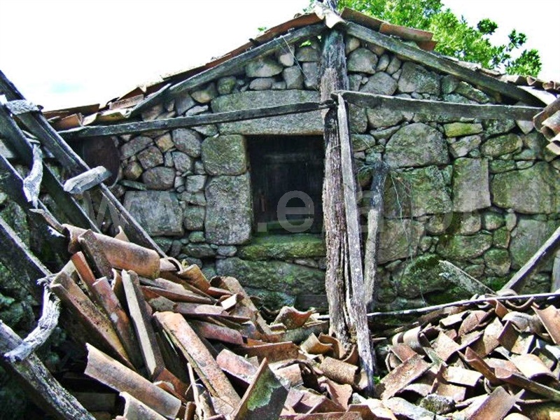 Quinta  Póvoa de Lanhoso, Vilela - 64861 - 9