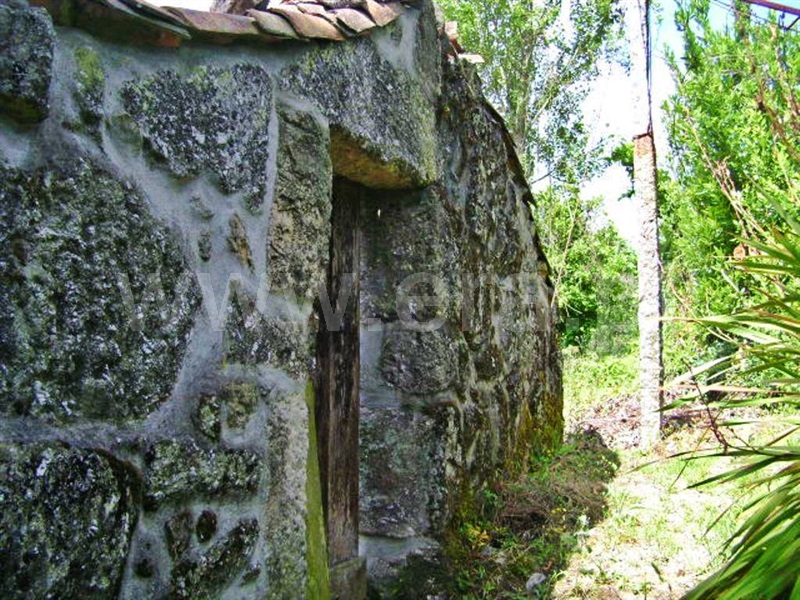 Quinta  Póvoa de Lanhoso, Vilela - 64861 - 10