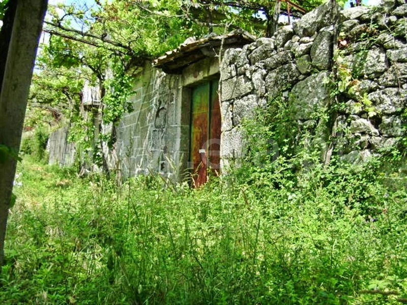Quinta  Póvoa de Lanhoso, Vilela - 64861 - 11