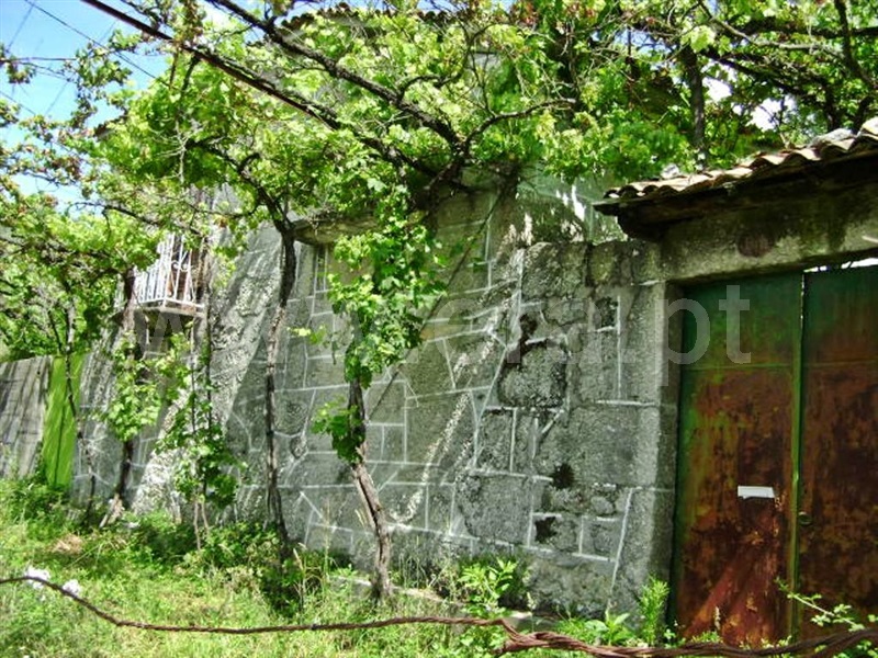 Quinta  Póvoa de Lanhoso, Vilela - 64861 - 12
