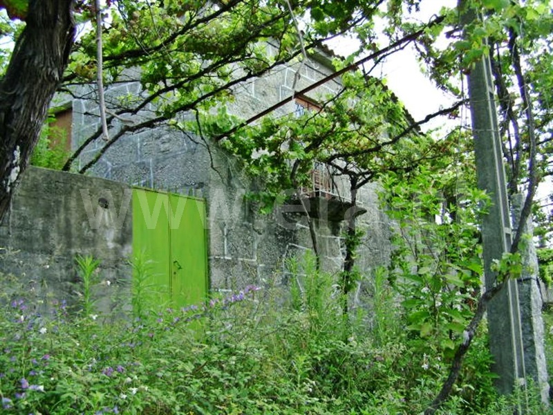 Quinta  Póvoa de Lanhoso, Vilela - 64861 - 13