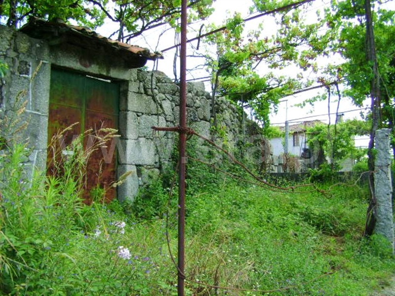 Quinta  Póvoa de Lanhoso, Vilela - 64861 - 14