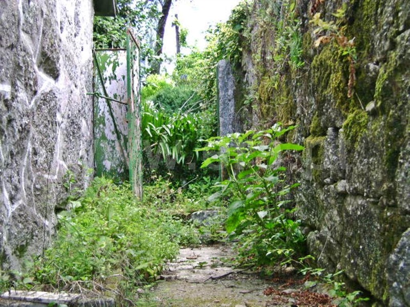 Quinta  Póvoa de Lanhoso, Vilela - 64861 - 15