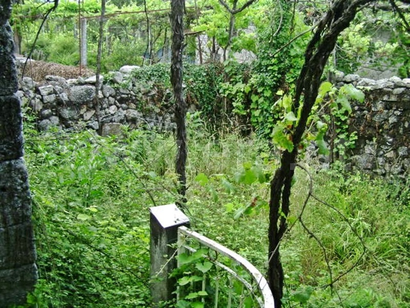 Quinta  Póvoa de Lanhoso, Vilela - 64861 - 17