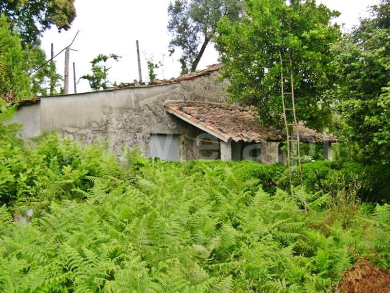 Quinta  Póvoa de Lanhoso, Vilela - 64861 - 18