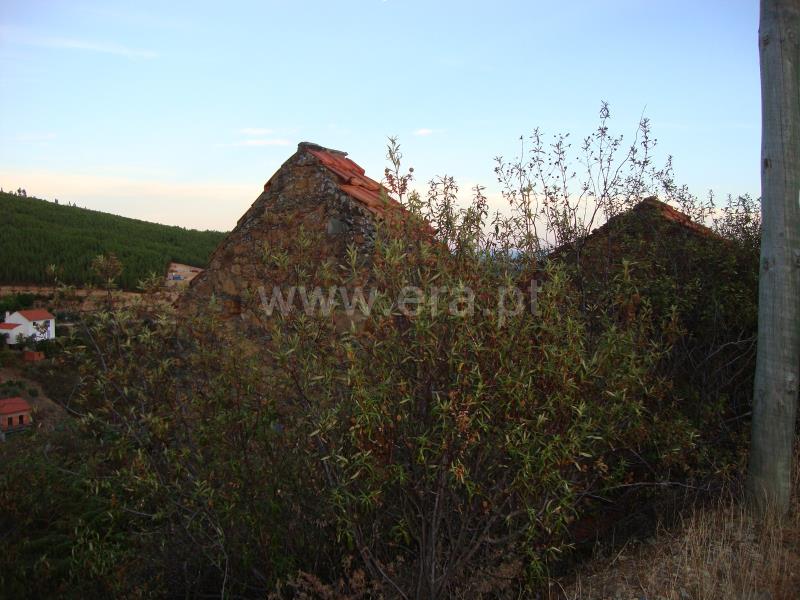 Moradia / Proença-a-Nova, Alvito da Beira