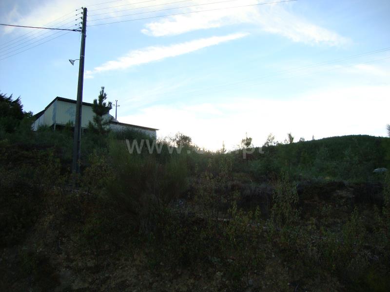 Moradia  Proença-a-Nova, Alvito da Beira - 673358 - 3