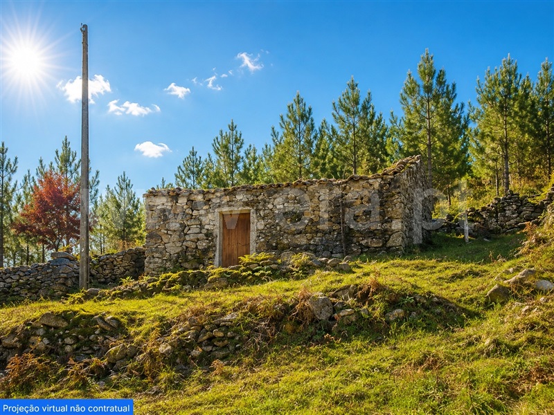 Moradia T2 / Ribeira de Pena, Ribeira de Pena (Salvador) e Santo Aleixo de Além-Tâmega
