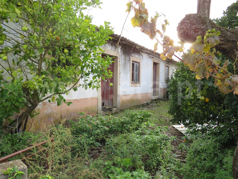 Moradia  Rio Maior, Correias - 1374741 - 6