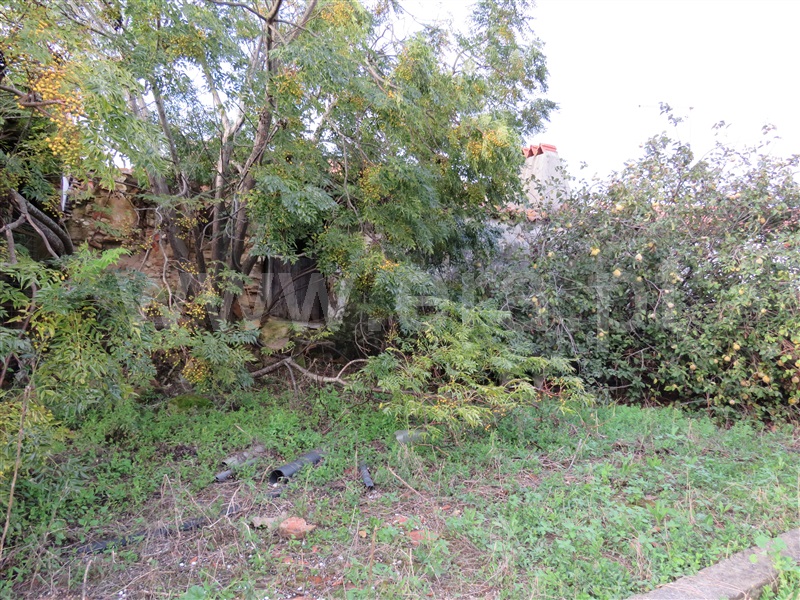 Moradia  Rio Maior, Correias - 1374741 - 13