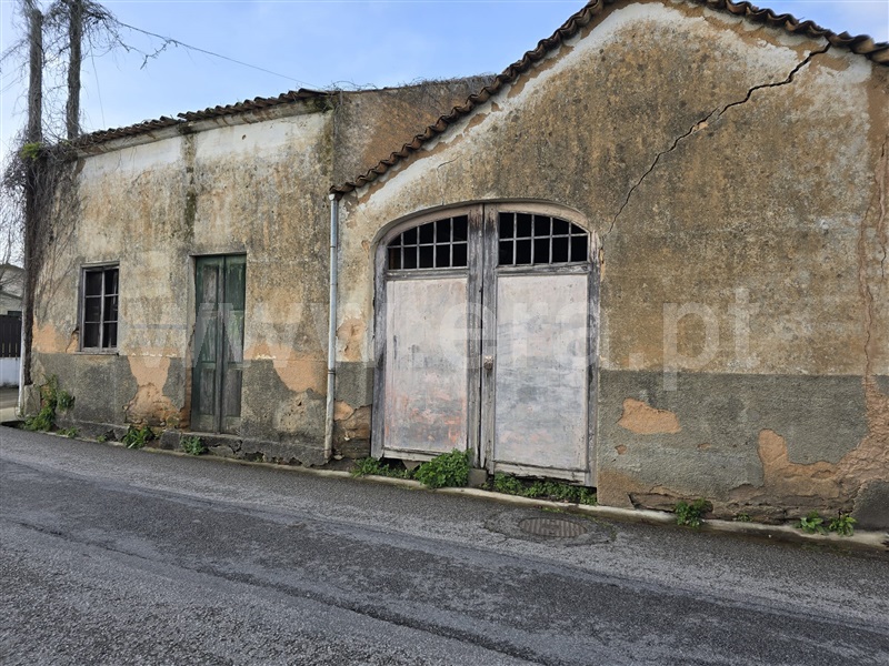 Moradia Rústica / Albergaria-a-Velha, Alquerubim