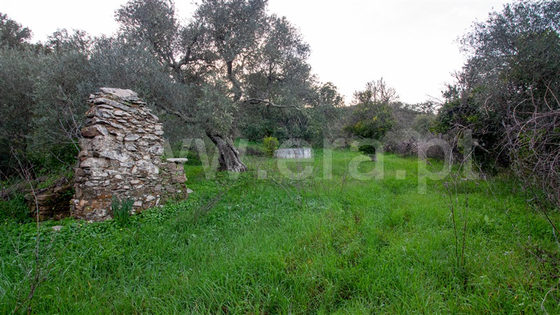 Moradia Rústica  Alcoutim, Martim Longo - 1275186 - 15