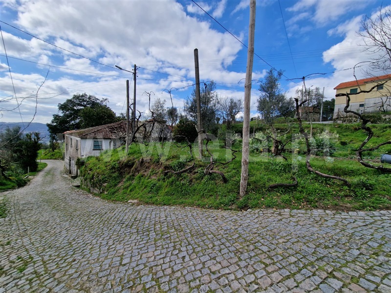 Moradia Rústica  Amarante, Vila Chã do Marão - 1388408 - 3