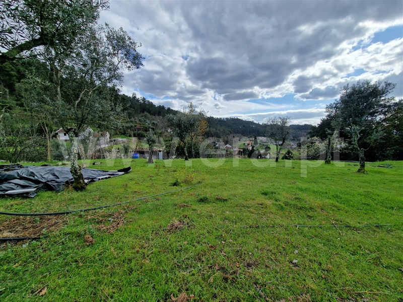 Moradia Rústica  Amarante, Vila Chã do Marão - 1388408 - 5