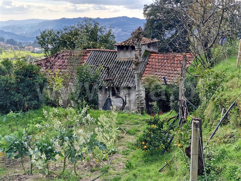 Moradia Rústica  Amarante, Vila Chã do Marão - 1388408 - 9