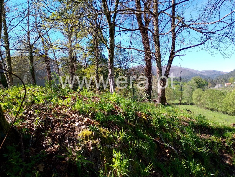 Moradia à venda em Alvora e Loureda, Arcos de Valdevez — foto 6
