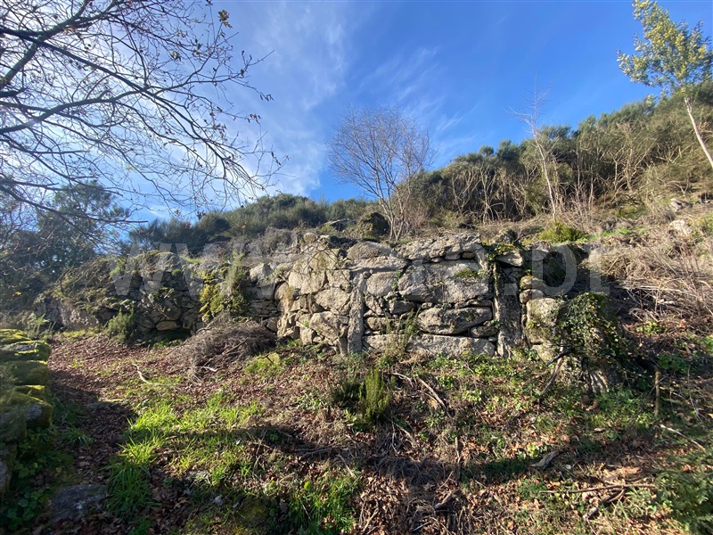 Moradia Rústica / Arcos de Valdevez, Grade e Carralcova
