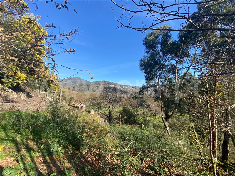 Terreno com ruina  Arcos de Valdevez, Grade e Carralcova - 1461376 - 9