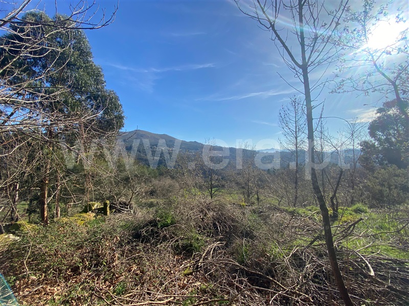 Terreno com ruina  Arcos de Valdevez, Grade e Carralcova - 1461376 - 10