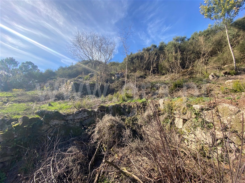 Terreno com ruina  Arcos de Valdevez, Grade e Carralcova - 1461376 - 11