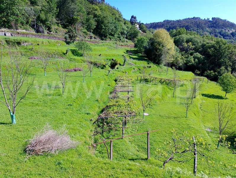 Moradia Rústica  Arcos de Valdevez, Jolda (Madalena) e Rio Cabrão - 1478032 - 7
