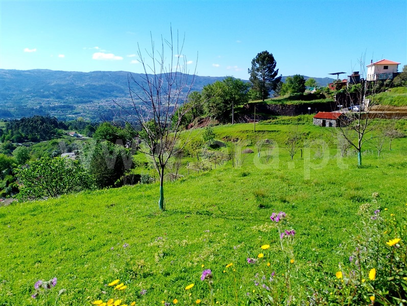 Moradia Rústica  Arcos de Valdevez, Jolda (Madalena) e Rio Cabrão - 1478032 - 10
