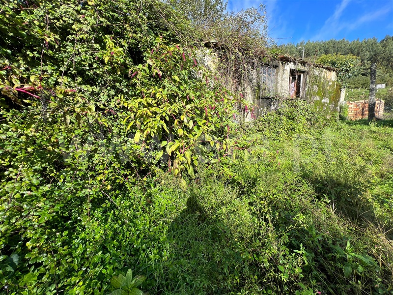 Moradia Rústica  Arcos de Valdevez, Monte Redondo - 988240 - 7