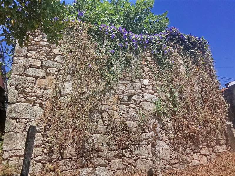 Moradia Rústica / Arcos de Valdevez, São Jorge e Ermelo
