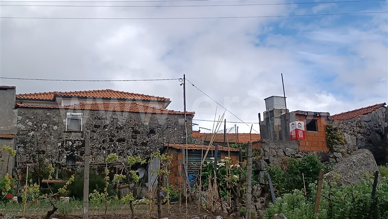 Moradia Rústica  Baião, Santa Cruz do Douro e São Tomé de Covelas - 1477179 - 5
