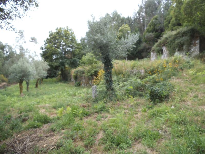 Moradia Rústica / Barcelos, Campo e Tamel (São Pedro Fins)