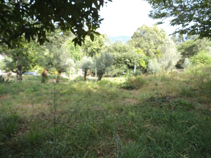 Moradia Rústica  Barcelos, Campo e Tamel (São Pedro Fins) - 745009 - 3