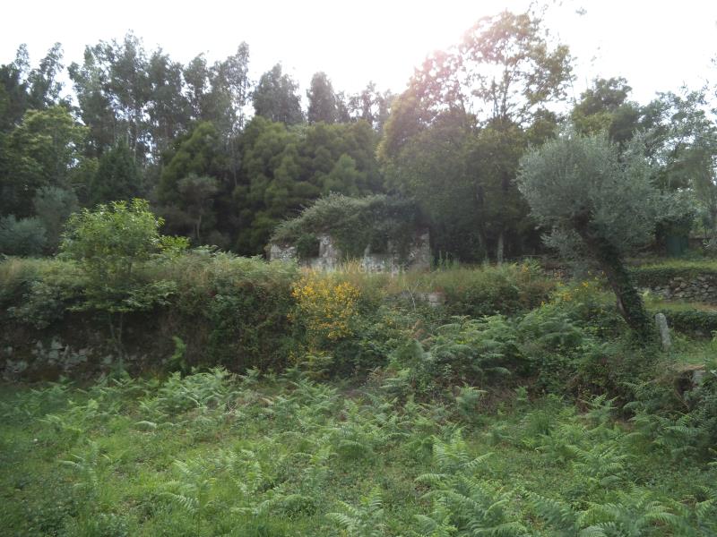 Moradia Rústica  Barcelos, Campo e Tamel (São Pedro Fins) - 745009 - 6
