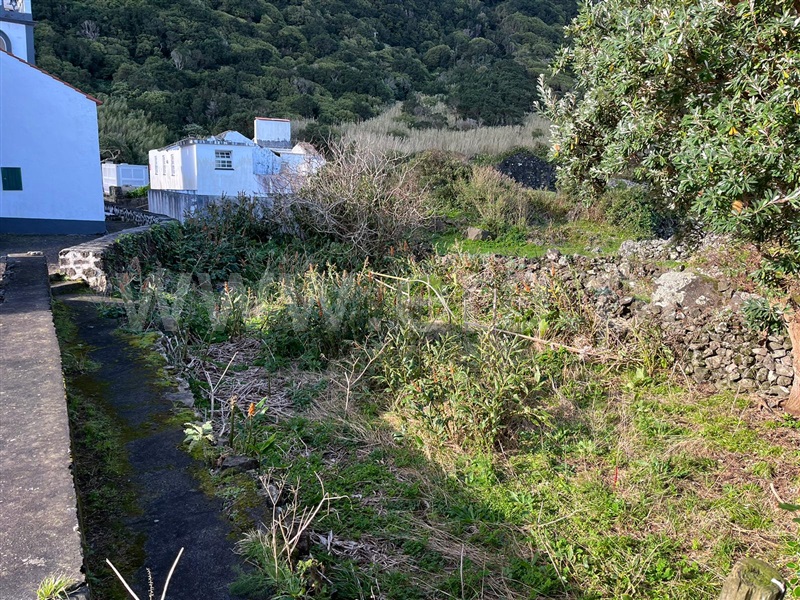Moradia Isolada  Calheta (São Jorge), Ribeira Seca - 1359516 - 5