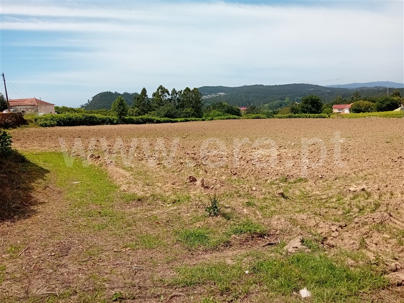 Moradia à venda em Antas, Esposende — foto 13