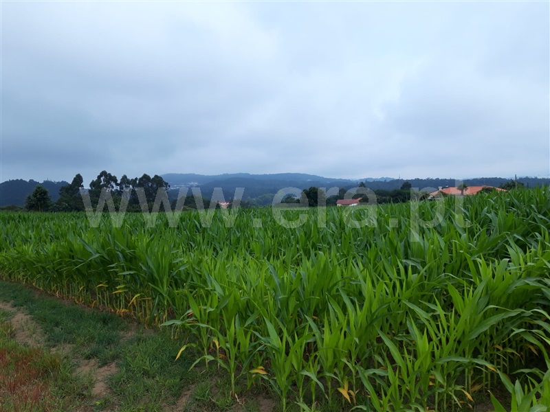 Moradia à venda em Antas, Esposende — foto 20