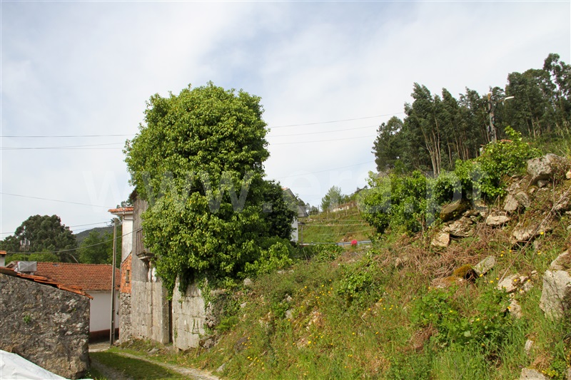 Moradia Rústica T0 Vale de Cambra, Roge - 1394730 - 8