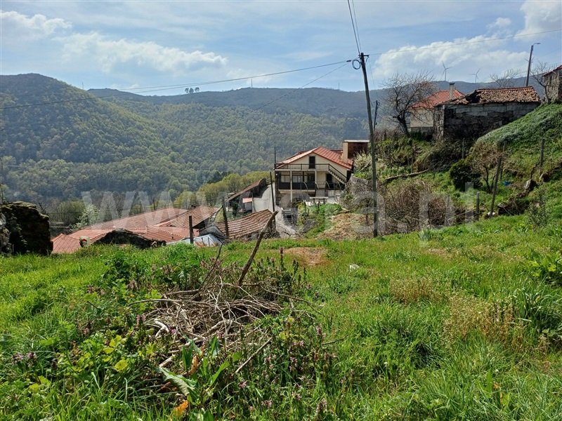 Moradia Rústica  Fafe, Aboim, Felgueiras, Gontim e Pedraído - 1402964 - 16