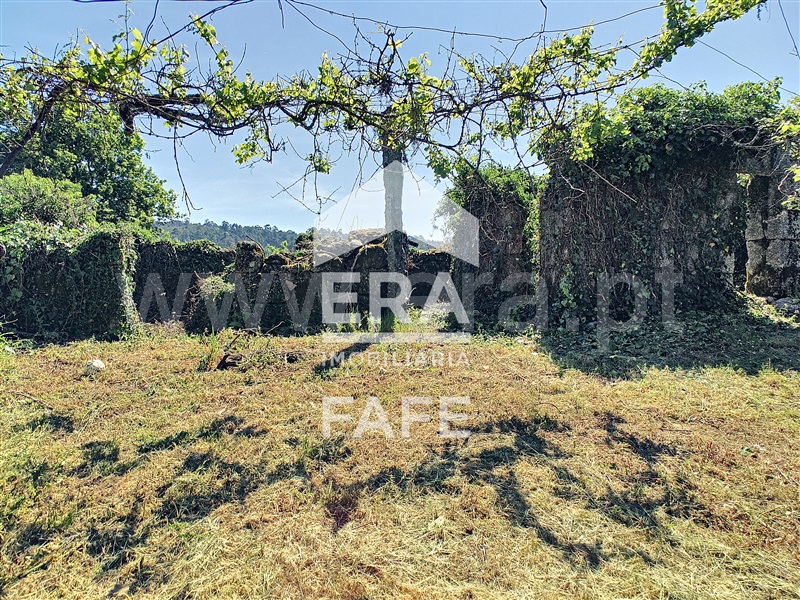 Moradia Rústica  Fafe, Ardegão, Arnozela e Seidões - 1386467 - 6