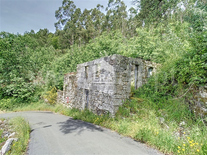 Moradia Rústica  Fafe, Freitas e Vila Cova - 1323245 - 9