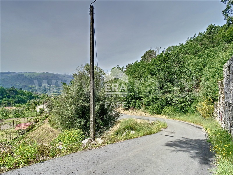 Moradia Rústica  Fafe, Freitas e Vila Cova - 1323245 - 10