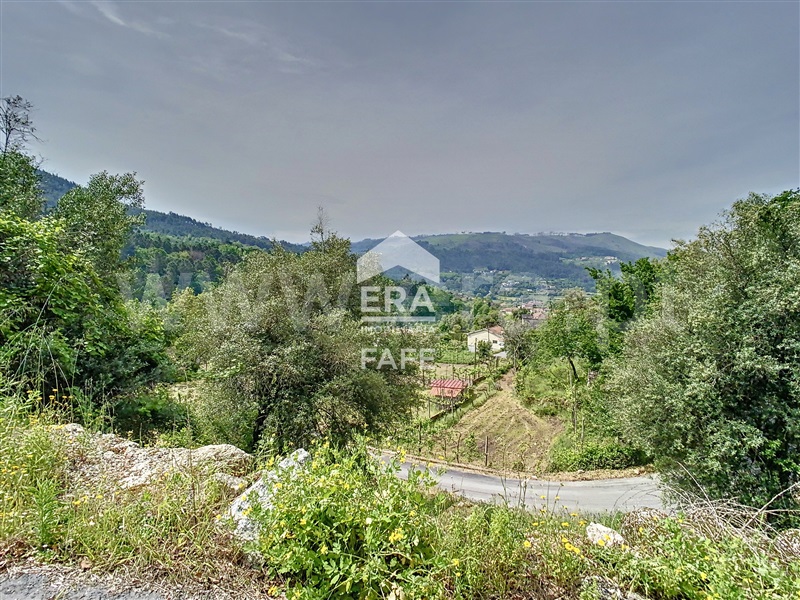 Moradia Rústica  Fafe, Freitas e Vila Cova - 1323245 - 12